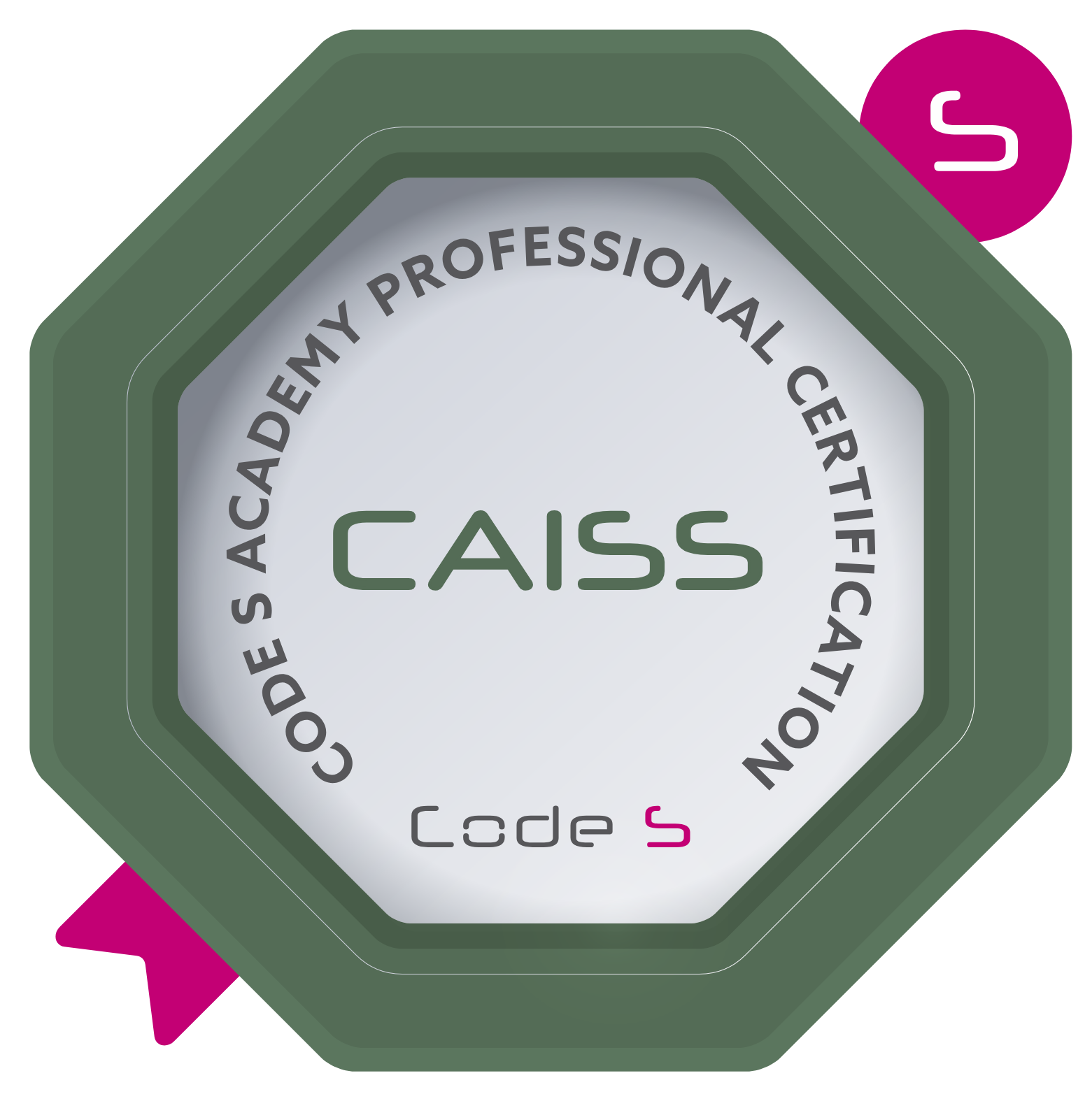 Certified AI Sustainability Strategist CAISS